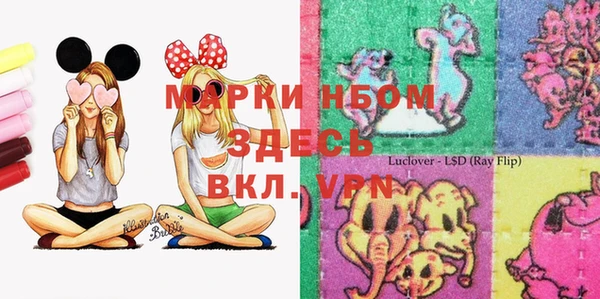 хмурый Долгопрудный